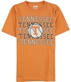 American Eagle Mens Tennessee Graphic T-Shirt