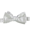 The Men's Store Mens Hand Self-Tied Bow Tie