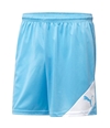 Puma Mens Santiago Athletic Workout Shorts blue S