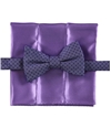Alfani Mens Basketweave Neck Tie Set purple One Size