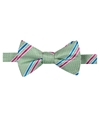 Countess Mara Mens Decker Stripe Pre-tied Bow Tie green One Size