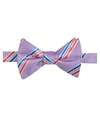 Countess Mara Mens Decker Stripe Pre-tied Bow Tie purple One Size