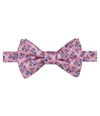 Countess Mara Mens Floral Self-tied Bow Tie 650 One Size