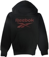 Reebok Boys Logo Hoodie Sweatshirt, TW2