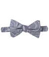 Ryan Seacrest Mens Wakeview Pre-tied Bow Tie 424 One Size
