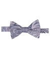 Ryan Seacrest Mens Wakeview Pre-tied Bow Tie 697 One Size