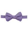 Ryan Seacrest Mens Textured Self-tied Bow Tie purple One Size