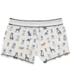 P.J. Salvage Womens All Dogs Pajama Shorts ivory S