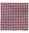 SprezzaBox Mens Checkered Pocket Square red One Size