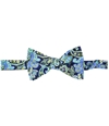 Countess Mara Mens Colorful Paisley Pre-tied Bow Tie bluegreen One Size