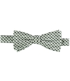 Ryan Seacrest Mens Printed Self-Tied Bow Tie