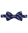 Ryan Seacrest Mens Stripe Dot Self-tied Bow Tie purpleblue One Size
