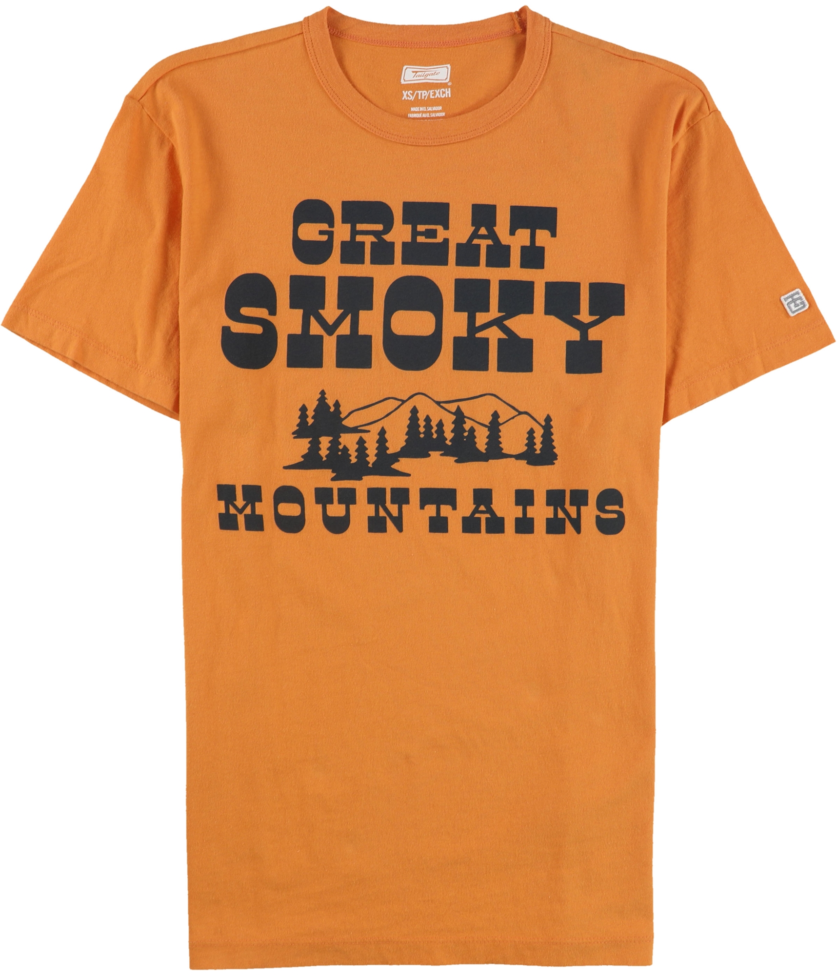 Мужская футболка с графическим рисунком American Eagle Great Smoky Mountains