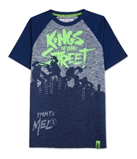 Hybrid Boys Carmelo Anthony Tmnt Graphic T-Shirt, TW3