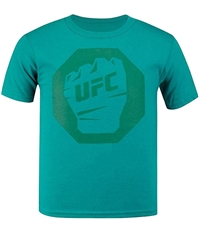 Ufc Boys Fist Inside Logo Graphic T-Shirt, TW2