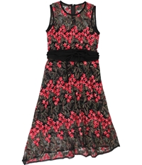 Nanette Lepore Womens Embroidered Fit & Flare Dress