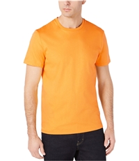 Calvin Klein Mens Embroidered Logo Basic T-Shirt, TW2
