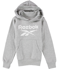 Reebok Boys Logo Hoodie Sweatshirt, TW1