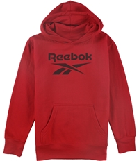 Reebok Boys Classic Hoodie Sweatshirt, TW1