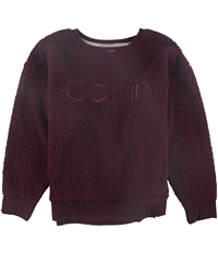 Calvin Klein Womens Logo Sweatshirt, TW3