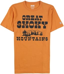 American Eagle Mens Great Smoky Mountains Graphic T-Shirt