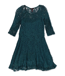 Material Girl Womens Lace Fit & Flare Shift Dress
