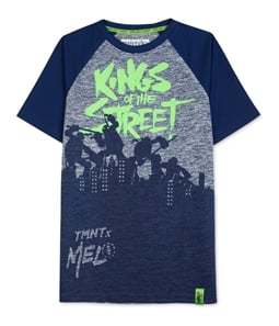 Hybrid Boys Carmelo Anthony TMNT Graphic T-Shirt