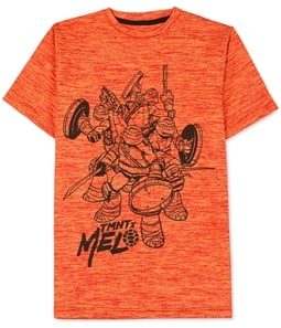Hybrid Boys Carmelo Anthony TMNT Graphic T-Shirt