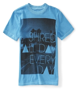 Aeropostale Boys Shred All Day Everyday Graphic T-Shirt