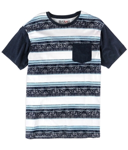 Silver Lake Mens Tropical Stripe Graphic T-Shirt