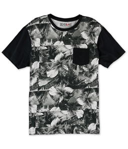 Silver Lake Mens Palm Pocket Graphic T-Shirt
