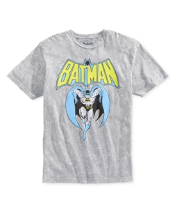 Bioworld Mens Batman Graphic T-Shirt