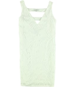 GUESS Womens Frida Lace A-line Bodycon Dress