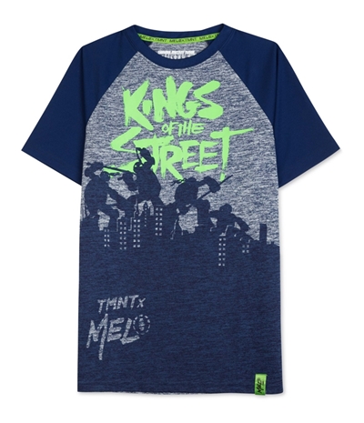Hybrid Boys Carmelo Anthony Tmnt Graphic T-Shirt, TW1