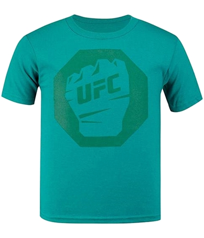 Ufc Boys Fist Inside Logo Graphic T-Shirt, TW3