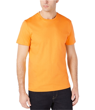 Calvin Klein Mens Embroidered Logo Basic T-Shirt
