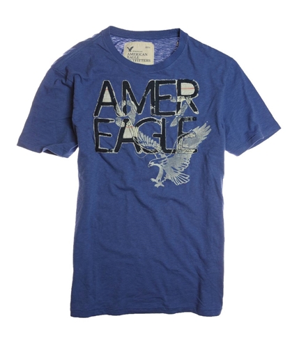 American Eagle Outfitters Mens Embroidered Graphic T-Shirt 000 2XL