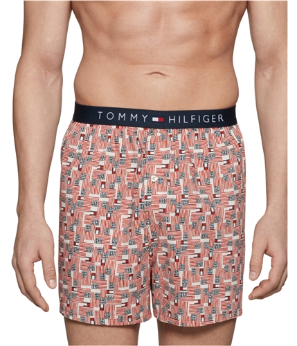 Tommy Hilfiger Mens Fashion Icon Hanging Underwear Boxers 649 M