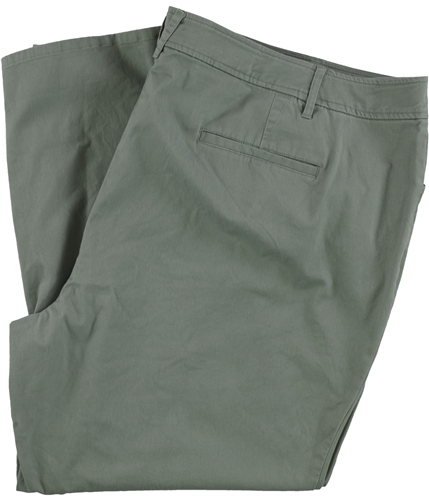 Charter Club Womens Solid Casual Chino Pants green 28W/30