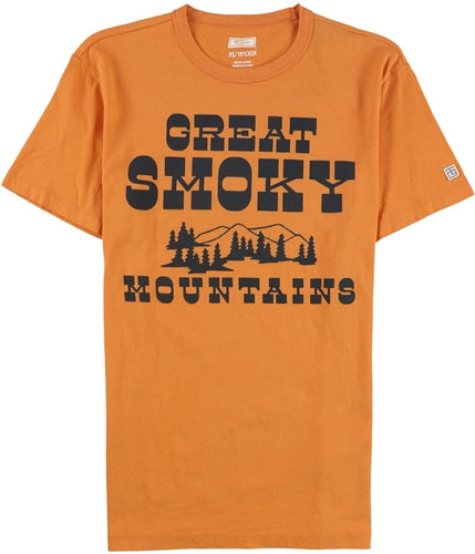 American Eagle Mens Great Smoky Mountains Graphic T-Shirt 803 XS