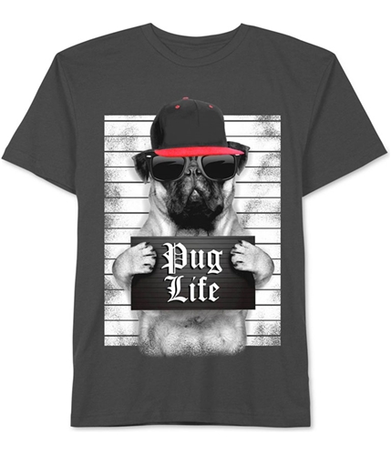 Jem Boys Pug Life Graphic T-Shirt charcoal 4