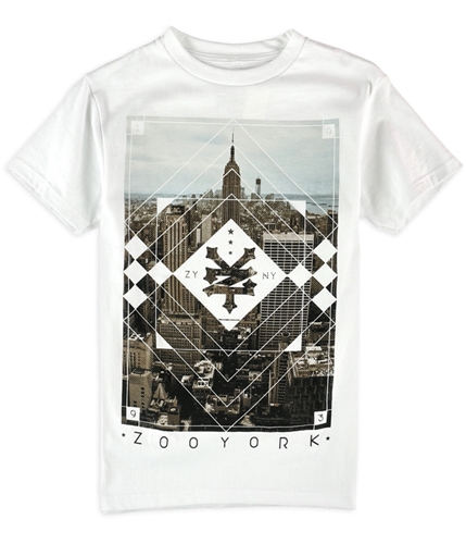 Zoo York Mens Empire State Graphic T-Shirt white S