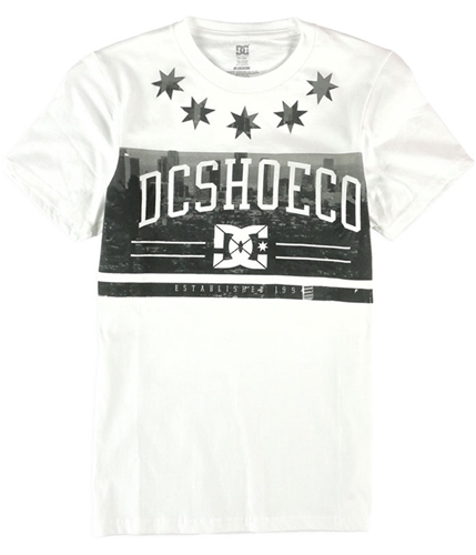 DC Mens Fade Logo Graphic T-Shirt white S