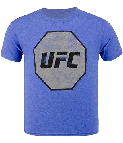 UFC Boys Distressed Logo Graphic T-Shirt royalhthr 4