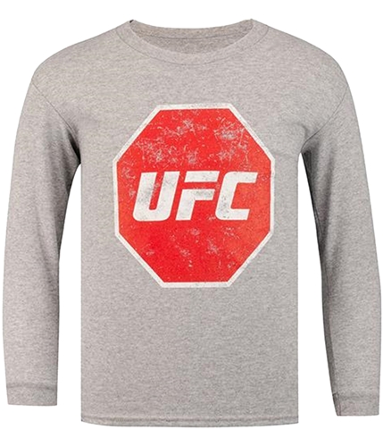 UFC Boys Distressed Logo Graphic T-Shirt gray S