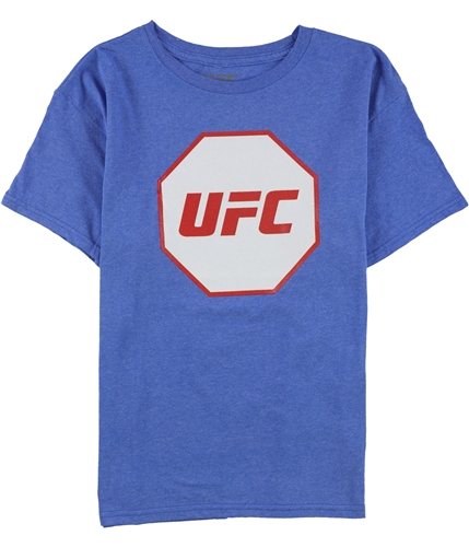 UFC Boys Octagon Logo Graphic T-Shirt royalhthr S