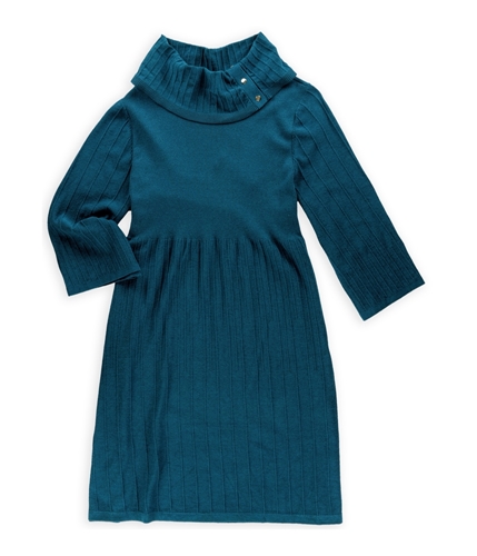 Style&co. Womens Turtle Neck Sweater Dress frenchteal 2X