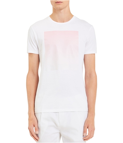 Calvin Klein Mens Ombre Basic T-Shirt standardwht S