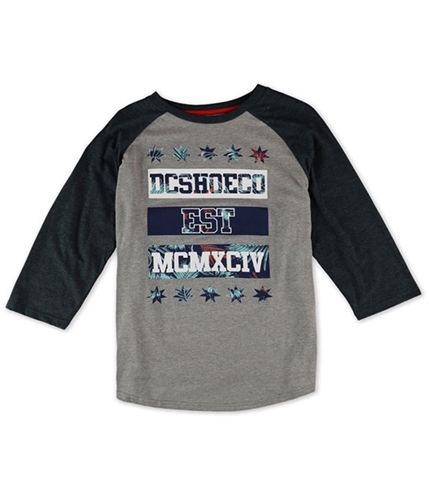 DC Mens Est MCMXCIV Graphic T-Shirt medgreyhtr S