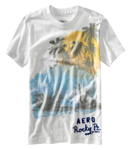 Aeropostale Mens Aero Palm Tree Graphic T-Shirt bleachwhite XS